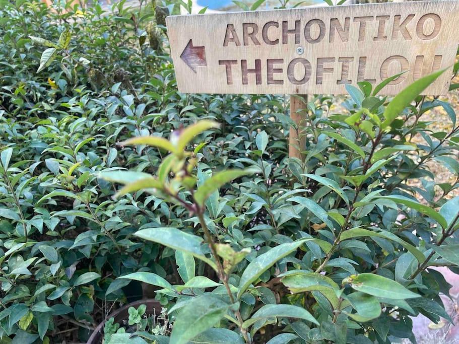 テッサロニキArchontiko Theofilou #2 With Private Parking Spaceアパートメント エクステリア 写真